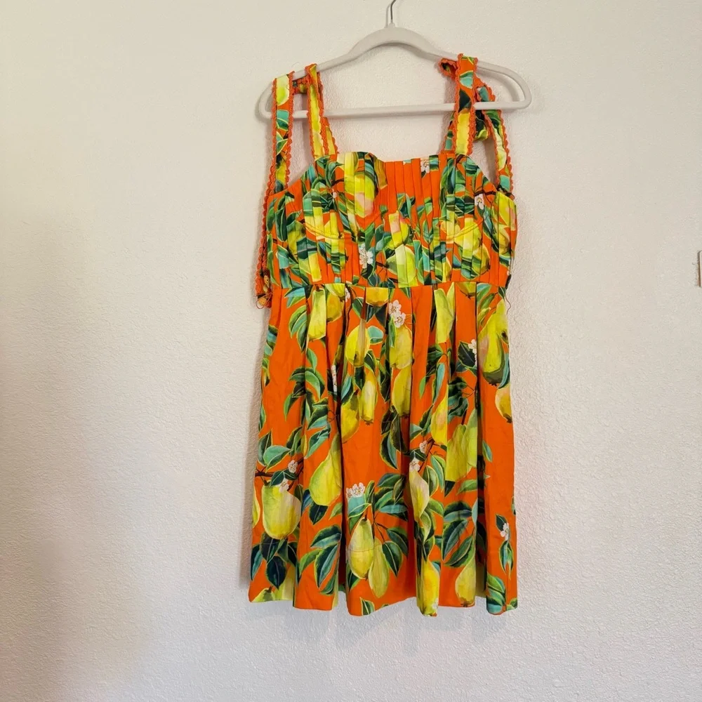 NWT FARM Rio Chic Pears Belted Mini Dress - Picture 5 of 13